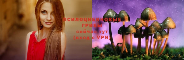 первитин Алексеевка