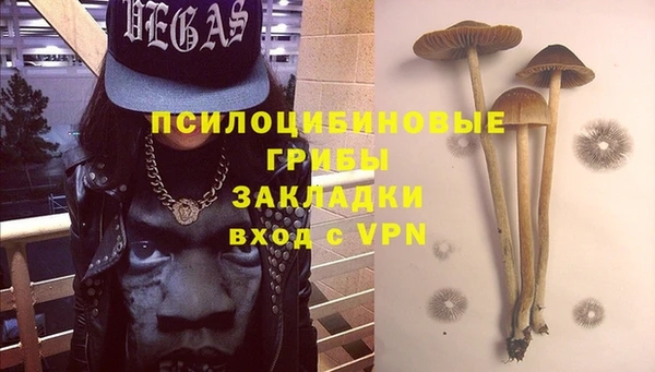 первитин Алексеевка