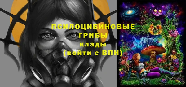 кокс Алексин