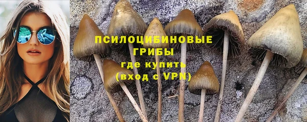 марки nbome Алзамай