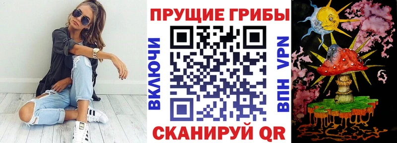 Псилоцибиновые грибы мицелий  Заволжск 